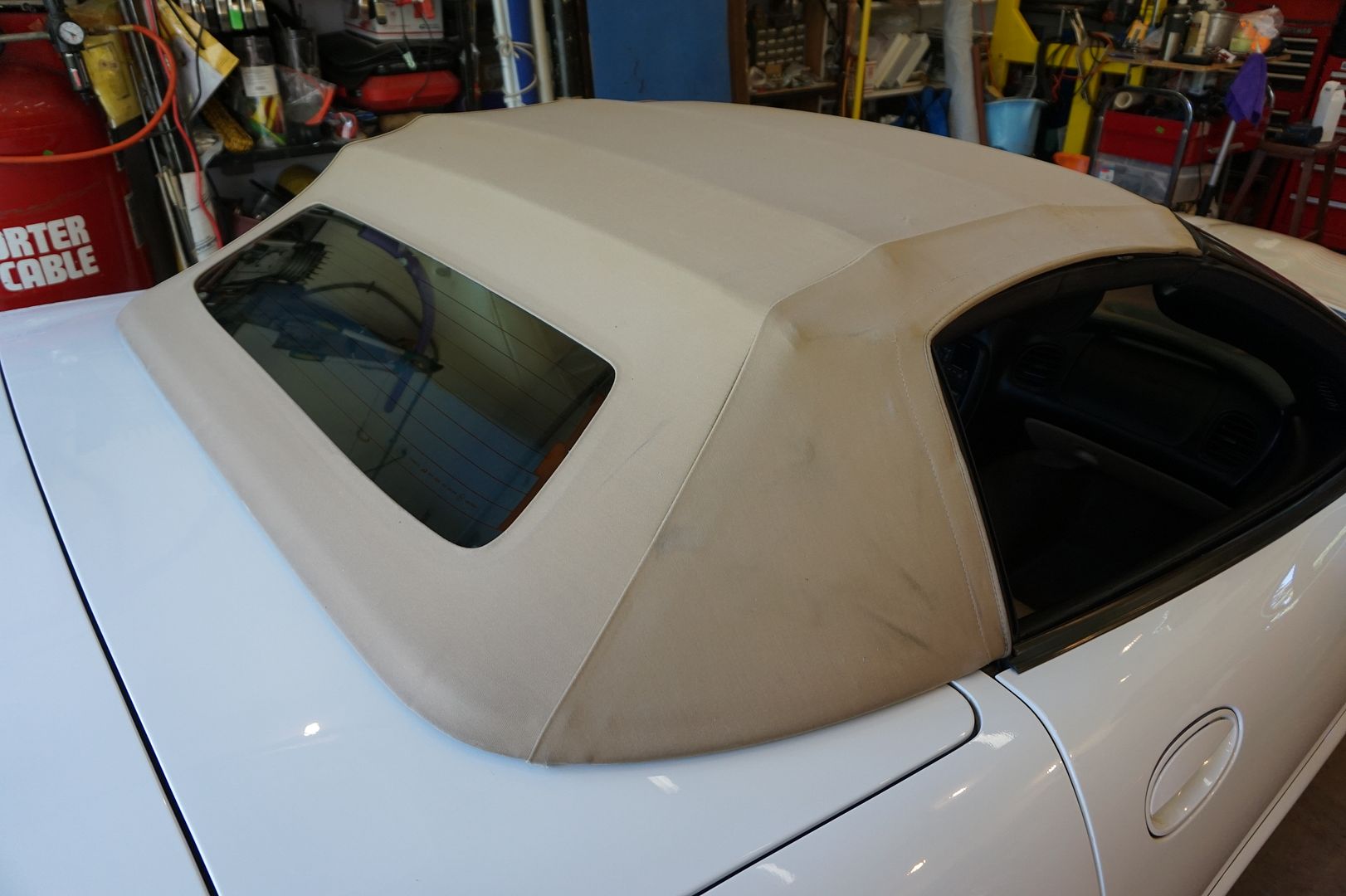 Mold/Mildew stained Tan convertible top wont clean up Help Page 6